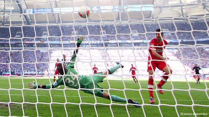 gol-ibisevic