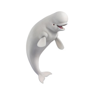 FINDING DORY - BAILEY (voice of Ty Burrell) is the Marine Life Institute&rsquo;s resident beluga whale who is convinced his biological sonar skills are on the fritz. The good news&mdash;or bad news, depending on who you ask&mdash;is that doctors at the MLI can&rsquo;t seem to find anything wrong with him. Bailey&rsquo;s flair for the dramatic never ceases to push his neighbor&rsquo;s buttons: whale shark Destiny can&rsquo;t seem to get through to him, no matter how hard she tries. Maybe he&rsquo;ll listen to new friend Dory, who seems to be full of crazy ideas. &copy;2016 Disney&bull;Pixar. All Rights Reserved.