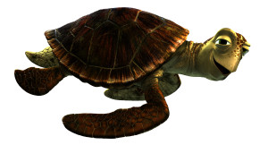 FINDING DORY - Pictured: CRUSH.  CRUSH (voice of Andrew Stanton) and his SQUIRT (voice of Bennett Dammann) just might be the coolest turtles in the ocean. They&rsquo;re always happy to lend a flipper to a fish in need. Cruising the ocean for more than a hundred years definitely has its advantages. &copy;2016 Disney&bull;Pixar. All Rights Reserved.