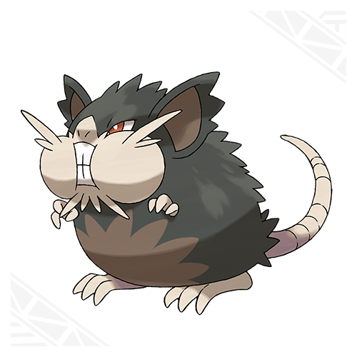 a-raticate