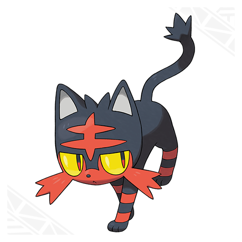 litten_2