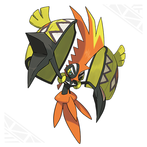 tapukoko