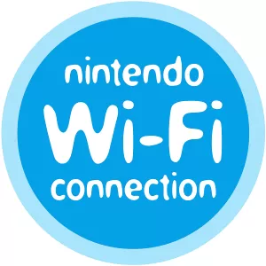 Nintendo Wi Fi Connection