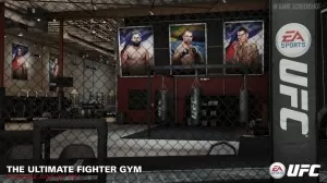 The Ultimate Fighter Gym