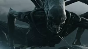 Neomorph 1