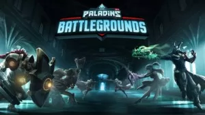 Paladins