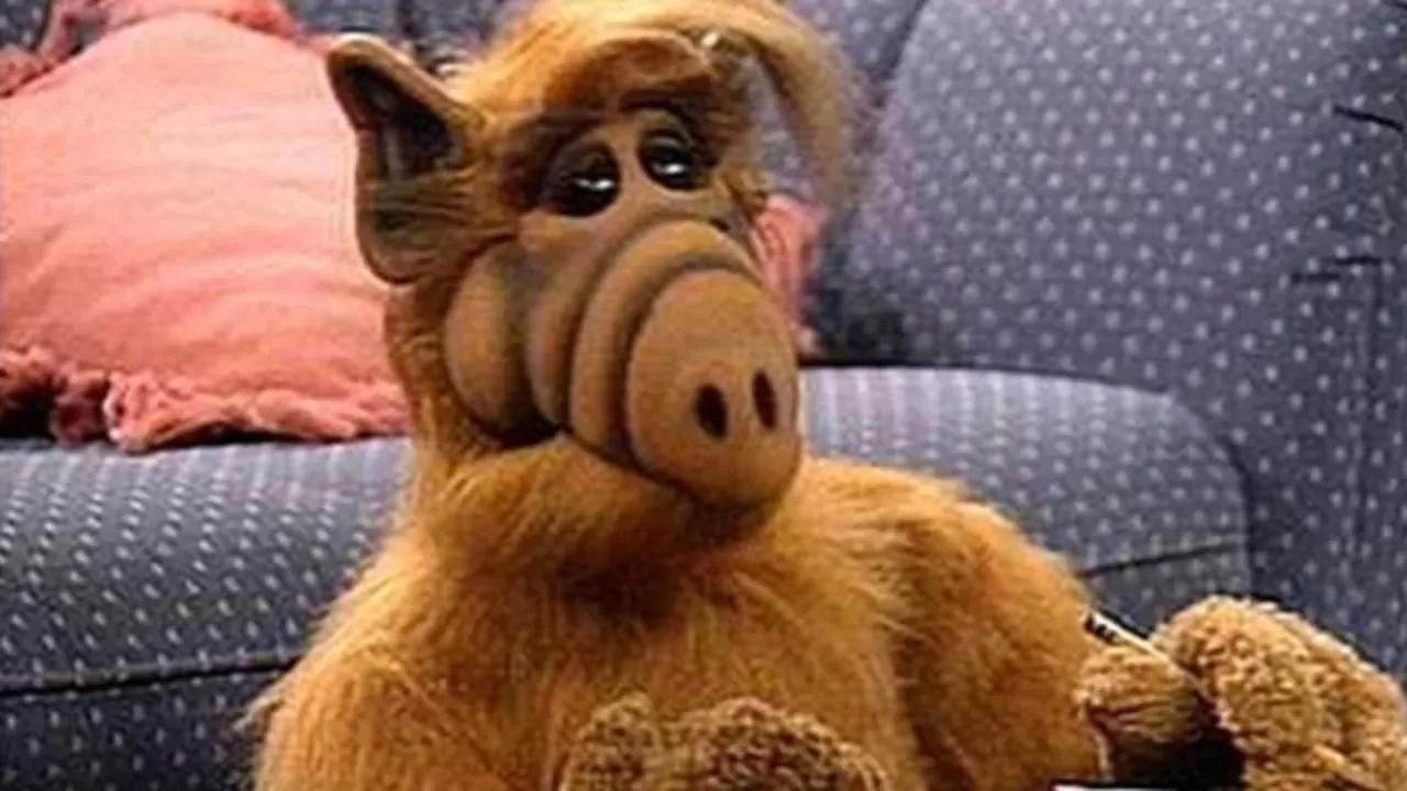 Alf