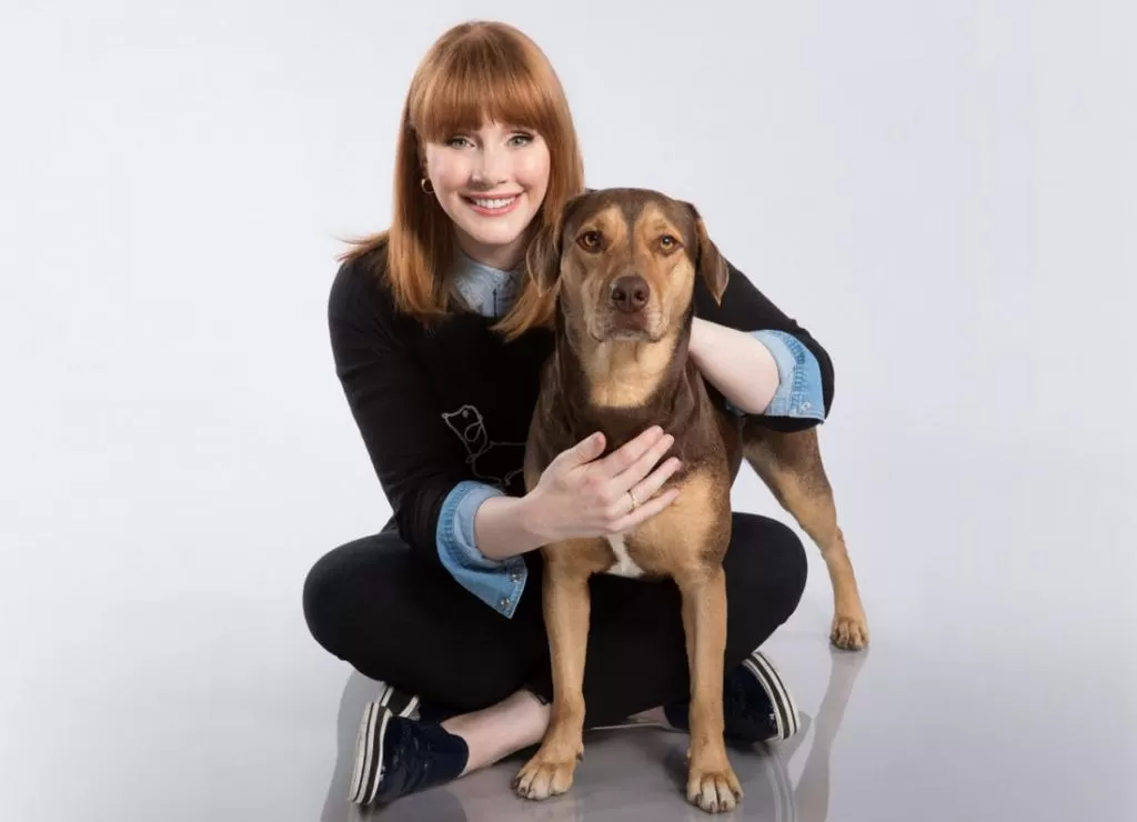 Bryce Dallas Howard Sony