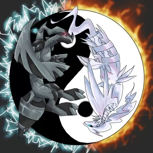 reshiram-vs-zekrom