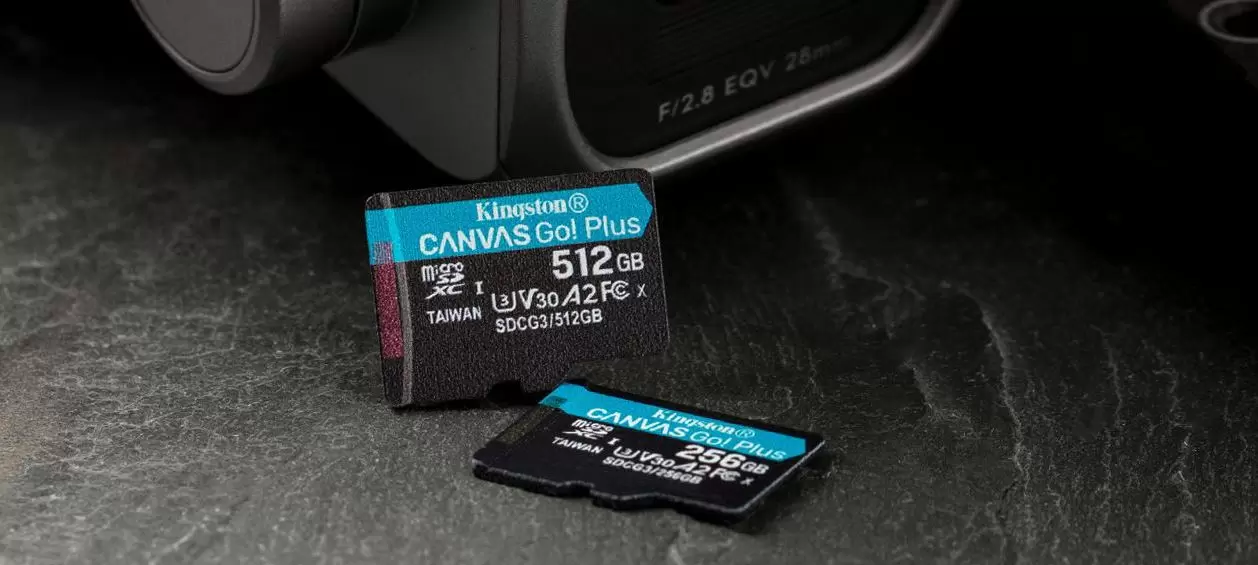 Kingston Canvas Go! Plus tarjetas ssd