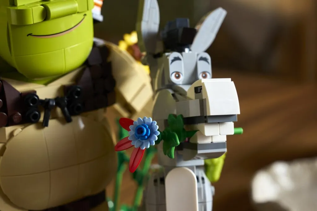 72423 Lifestyle Build 05